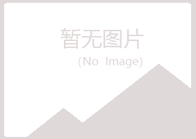 偃师夏岚水泥有限公司